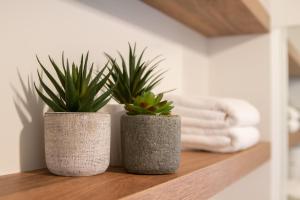 two potted plants sitting on a shelf in a bathroom at Boutique appartementen Théodore in Valkenburg +50 photos