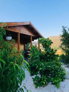 a wooden cabin with a wooden roof and some bushes at Happy Glamping Cy in Ayios Theodhoros