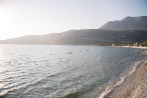 Táj Show holiday homes közelében