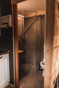 a bathroom with a shower with a toilet in it at Vintgar studio in Bled +21 photos