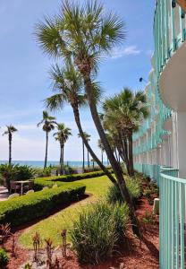 a view of the ocean from a building with palm trees at Casa Loma Panama City Beach - Beachfront in Panama City Beach