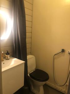 YlitornioにあるNiuron mökitのバスルーム(トイレ、洗面台、シャワー付)