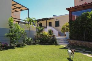 a dog standing in the yard of a house at Sirines Apartments in Palekastron