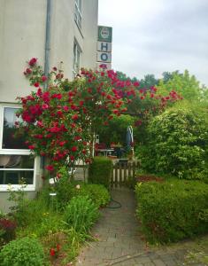 Zahrada ubytování Hotel Garni Am Schäfersberg