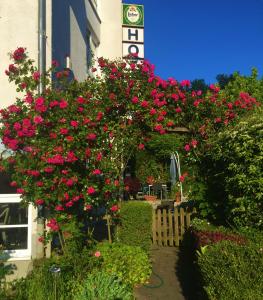 Zahrada ubytování Hotel Garni Am Schäfersberg
