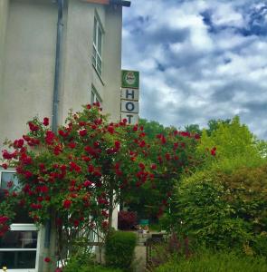 Zahrada ubytování Hotel Garni Am Schäfersberg