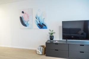 TV a/nebo společenská místnost v ubytování Apartment Hotel Laisve