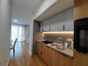 Majoituspaikan Rogowska Apartament keittiö tai keittotila