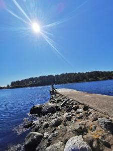 a bench sitting on the shore of a body of water at BiG Bed & Breakfast in Grimstad