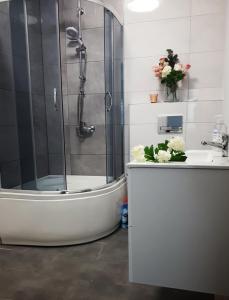 a bathroom with a shower and a tub and a sink at Apartament w Milówce in Milówka