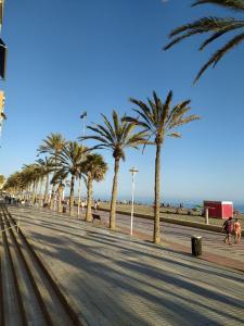 a row of palm trees on a sidewalk next to the beach at Piso Almería playa in Almería