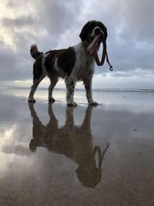 Επισκέπτες που μένουν στο McMunns of Ballybunion