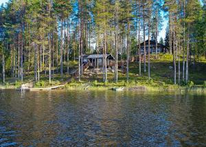 domek w lesie obok zbiornika wodnego w obiekcie Villa Norppa w mieście Punkaharju