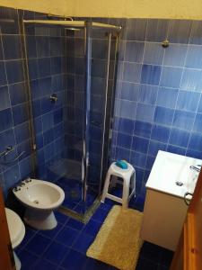 a blue tiled bathroom with a shower and a toilet at Villetta La Bluette Capo Vaticano in Capo Vaticano