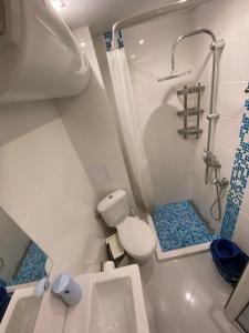 プリモルスコにあるLilia 2 Hotelの小さなバスルーム(トイレ、シャワー付)