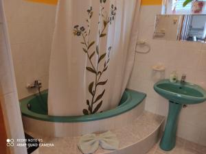 Kúpeľňa v ubytovaní Fox Apartmanok + 29 fotografií