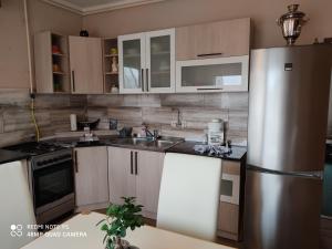 Kuchyňa alebo kuchynka v ubytovaní Fox Apartmanok