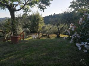 einen Garten mit Bäumen und Blumen im Gras in der Unterkunft Le Massucce in San Casciano in Val di Pesa