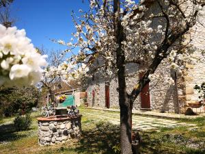 un arbre aux fleurs blanches devant un bâtiment dans l'établissement La Giuncaia, à Pieve Santo Stefano