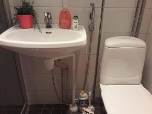ein Bad mit einem WC und einem Waschbecken in der Unterkunft Puutarhakatu 1 bdr 62m2 in Turku