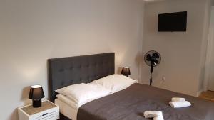 a bedroom with a large bed and a fan at Pokoje gościnne vis a vis Retro in Gostynin