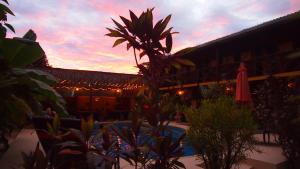 Fotografie z fotogalerie ubytování Samara Palm Lodge v destinaci Sámara