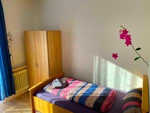 Dormitorio infantil con cama y ventana en Ferienwohnung Fischach, en Fischach