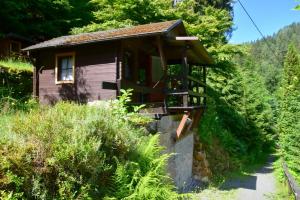 una pequeña casa con una escalera en un bosque en Sommerhaus Bella Vita en Bad Schandau