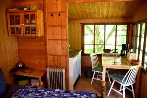 Zimmer mit einer Küche und einem Tisch in einer Hütte in der Unterkunft Sommerhaus Bella Vita in Bad Schandau