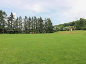 a large green field with trees in the background at Apartment 1 St Mary's Church in Moffat