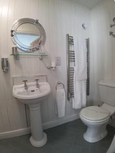 a bathroom with a sink and a toilet and a mirror at Bridge House Bed & Breakfast in Boscastle