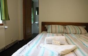 Postel nebo postele na pokoji v ubytování Hotel Alba