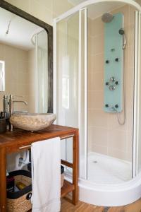 a bathroom with a sink and a shower at Monte da Cegonha Preta in Montargil