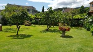 Ogród w obiekcie Casa Fuentes