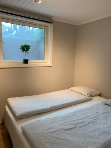 - une chambre avec deux lits et une fenêtre avec une plante dans l'établissement Nice and quiet apartment Kristiansand, à Kristiansand