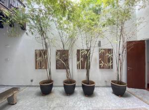 four potted trees in pots against a wall at Heeren Straits Hotel in Malacca