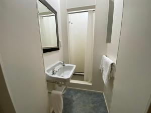 a bathroom with a sink and a toilet at Law Courts Hotel in Dunedin
