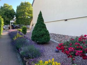 Zahrada ubytování Suite de 35m2 privatif + 7 fotografií