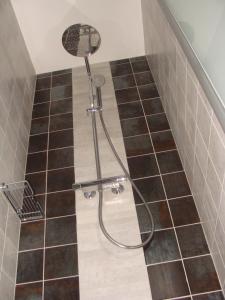 a shower in a bathroom with brown tiles at Entre montagnes et lac in Armoy +14 photos