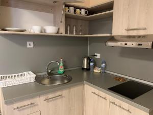 a kitchen with a sink and a counter top at K&M Apartments Sandanski in Sandanski