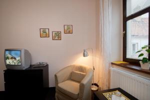 TV o dispositivi per l'intrattenimento presso Hotel U Zlatého býka