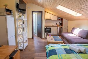 Η κουζίνα ή μικρή κουζίνα στο Via Flavia with Common Pool