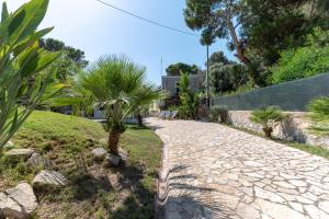 a stone pathway with palm trees in a yard at Segni Holiday Home in Carloforte