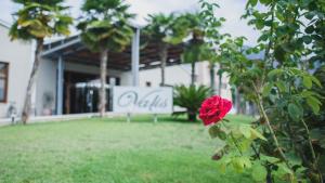 a red rose on a bush in front of a building at Valis Resort Hotel in Volos