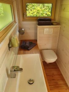 a small bathroom with a sink and a toilet at Tiny House Steirerbua in Birkfeld