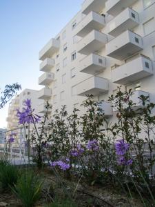 Gallery image of Luce Gold Apartment in Zadar