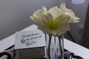 wazon z białym kwiatem na stole z znakiem w obiekcie Downtown Apartments Pula w Puli