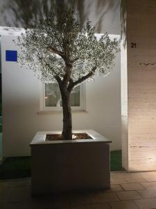 Gallery image of Apartments 4you in Vir