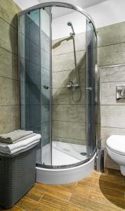La salle de bains est pourvue d'une douche, de toilettes et d'un lavabo. dans l'établissement Baltic Capital - BillBerry Apartments, à Gdańsk