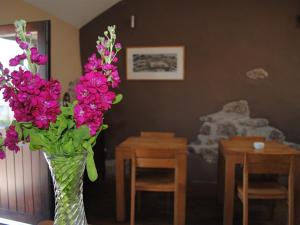 a vase filled with pink flowers on a table at Blas Gwyr in Llangennith